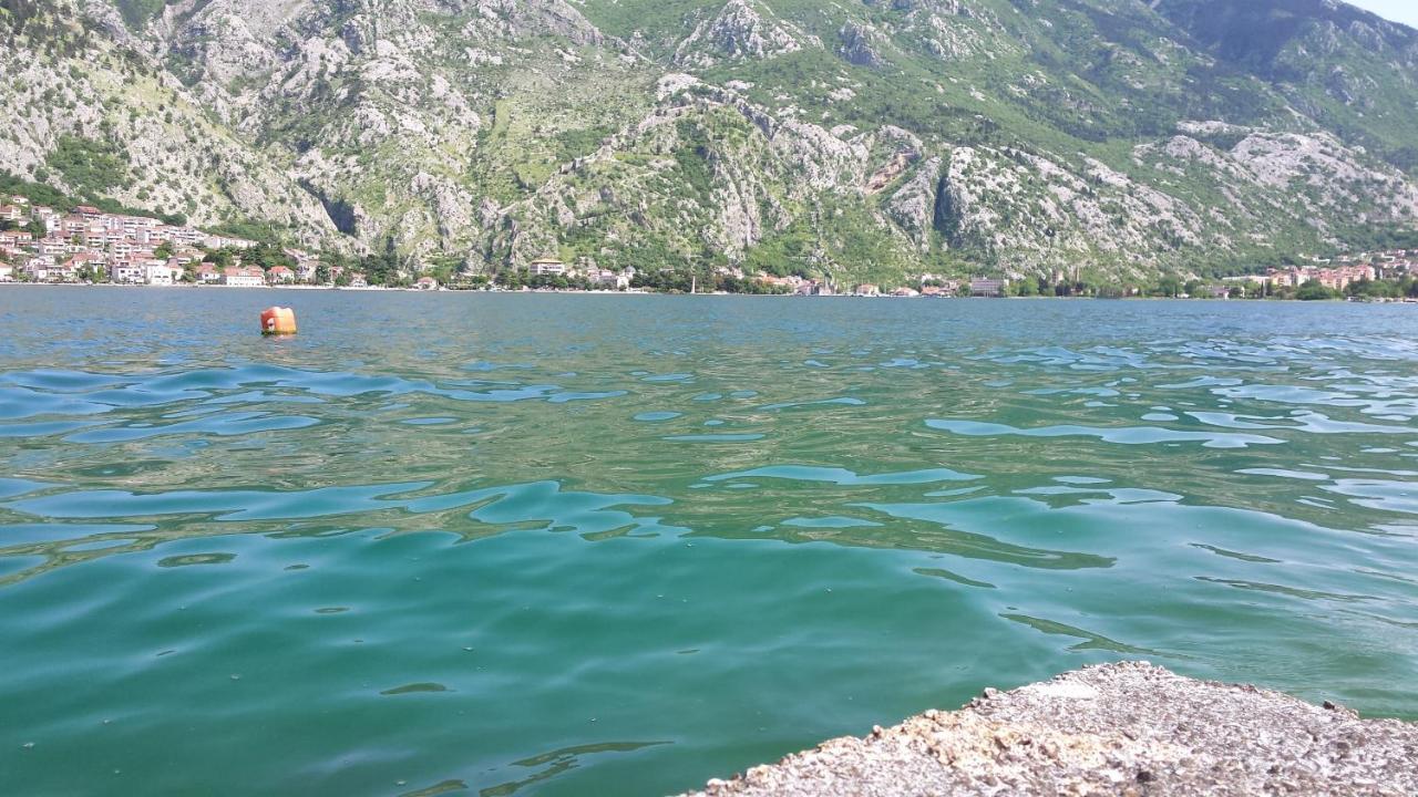 Apartment Radovic Kotor Exteriör bild